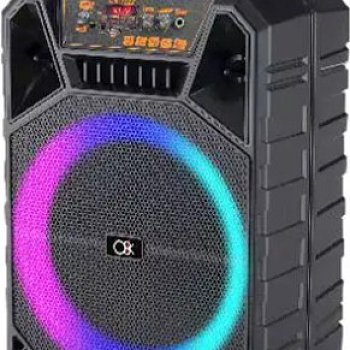 בידורית נטענת 12’אינץ’ עם מיקרופון אלחוטי על שלט